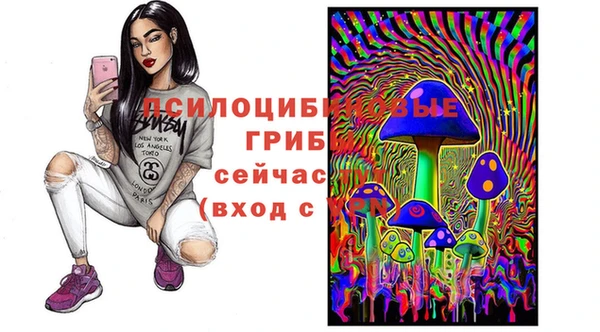 spice Козловка