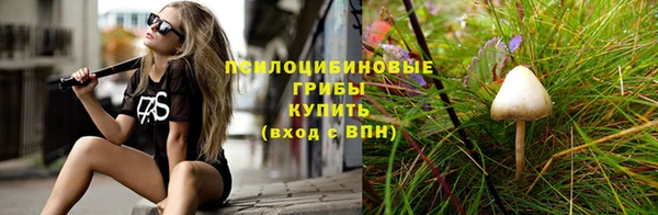 spice Козловка