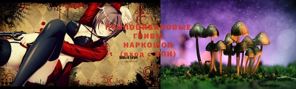 spice Козловка